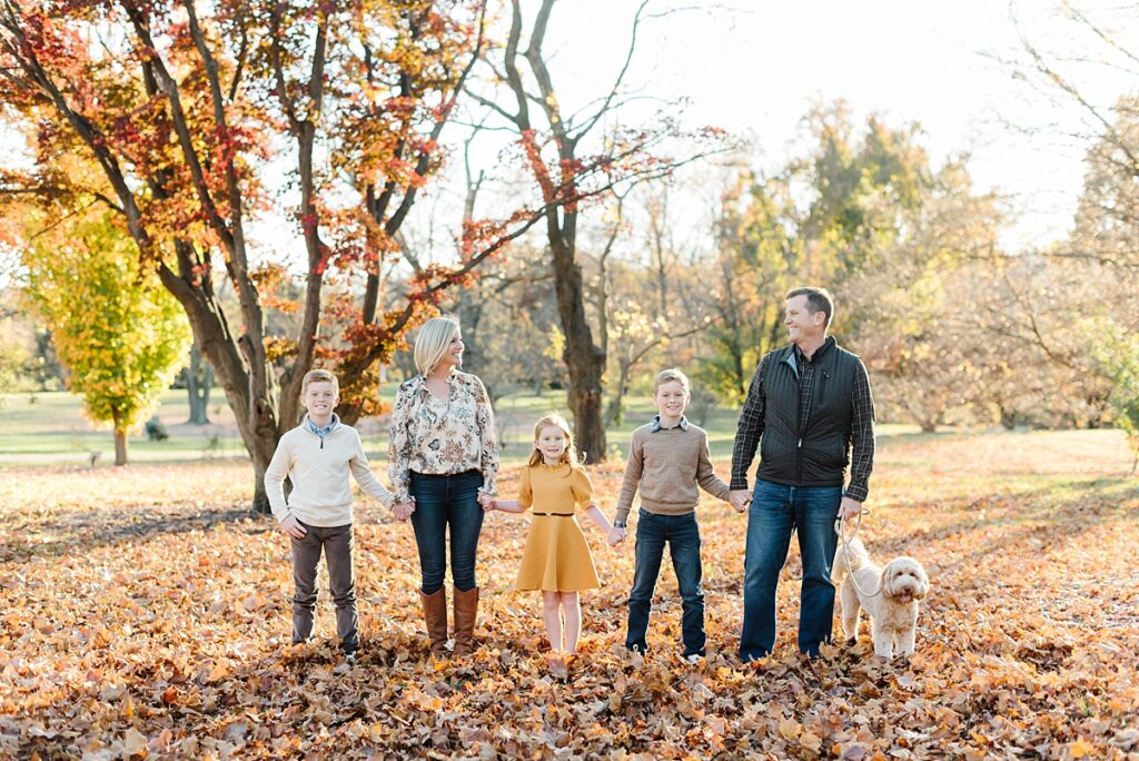 family of 5 plus their dog pose in a line holding hands in a pile of leaves in the National Arboretum in DC for fall family photos