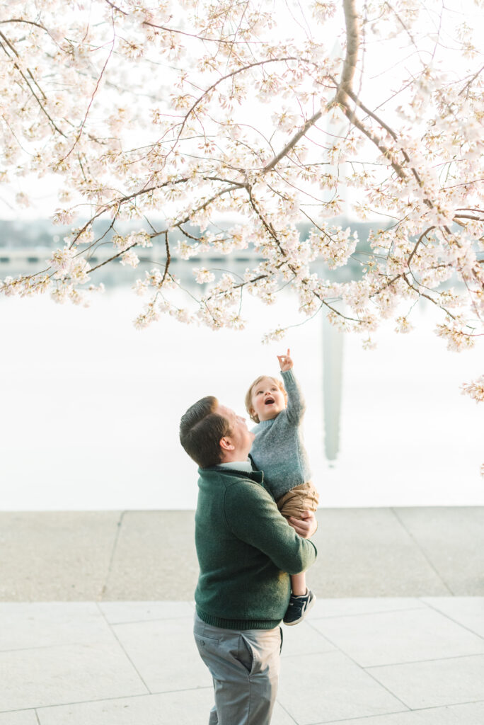 Joy of Washington DC's cherry blossom season through the eyes of a child